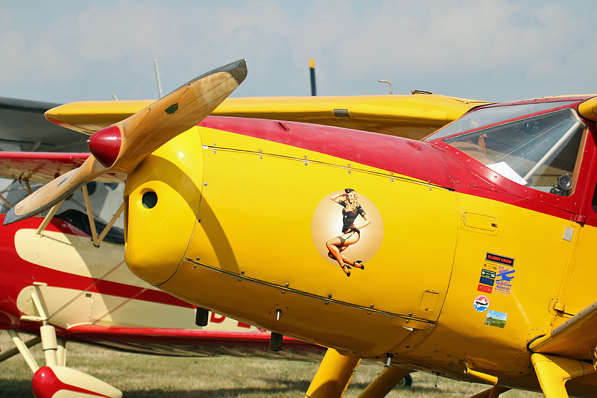 Private Faichild F24R UC-61K Argus III, D-EROT, Stearman and Friends 2021, Flugplatz Bienenfarm 03.07.2021