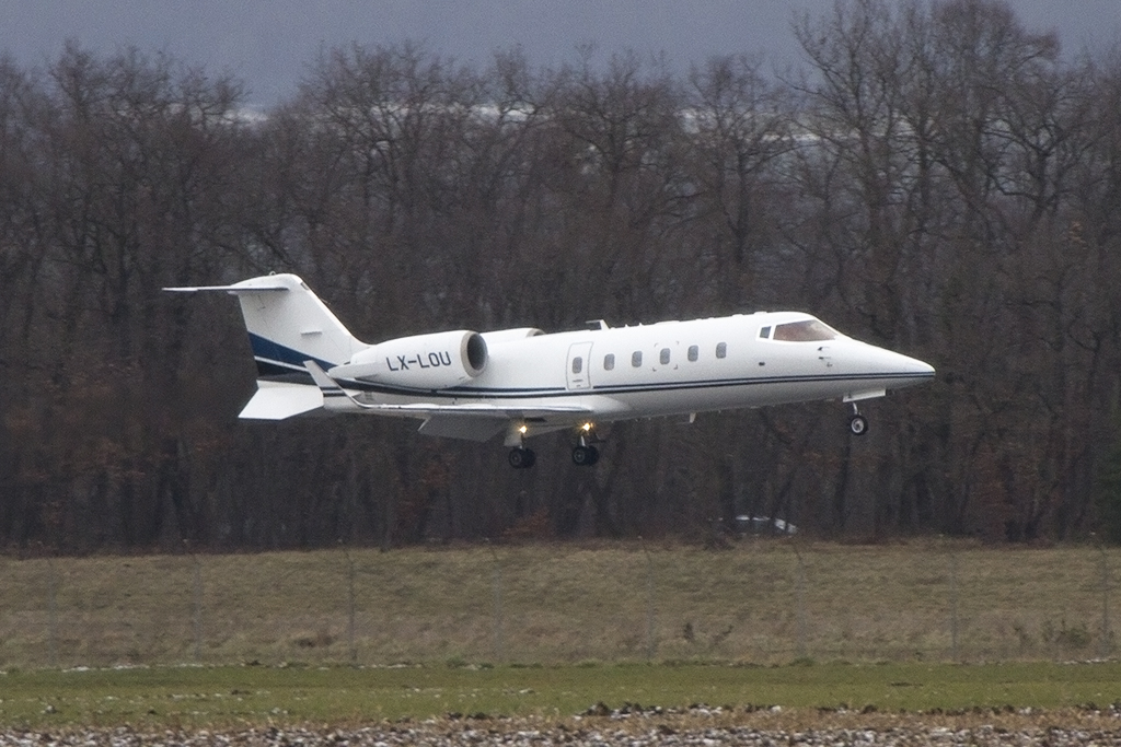 Private, LX-LOU, Learjet, 60, 01.02.2015, BSL, Basel, Switzerland





