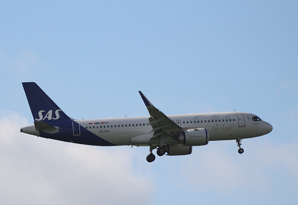 SAS, Airbus A 320-251N, SE-ROX, BER, 08.06.2026