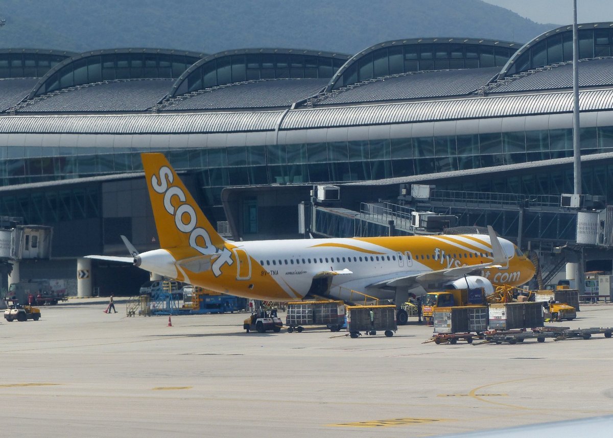 SCOOT, Airbus A 320-271N, 9V-TNA am Gate in Hong kong (HKG) am 12.9.2019