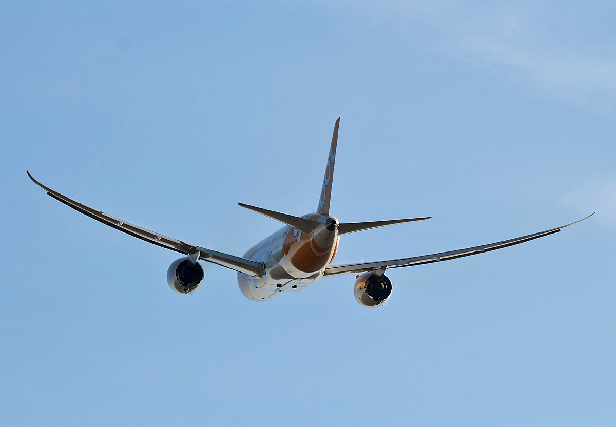 SCOOT, Boeing B 787-8 Dreamliner, 9V-OFK, TXL, 06.10.2019