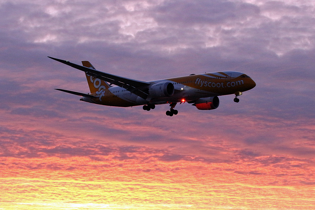 SCOOT, Boeing B 787-8 Dreamliner, 9V-OFJ, TXL, 29.12.2019
