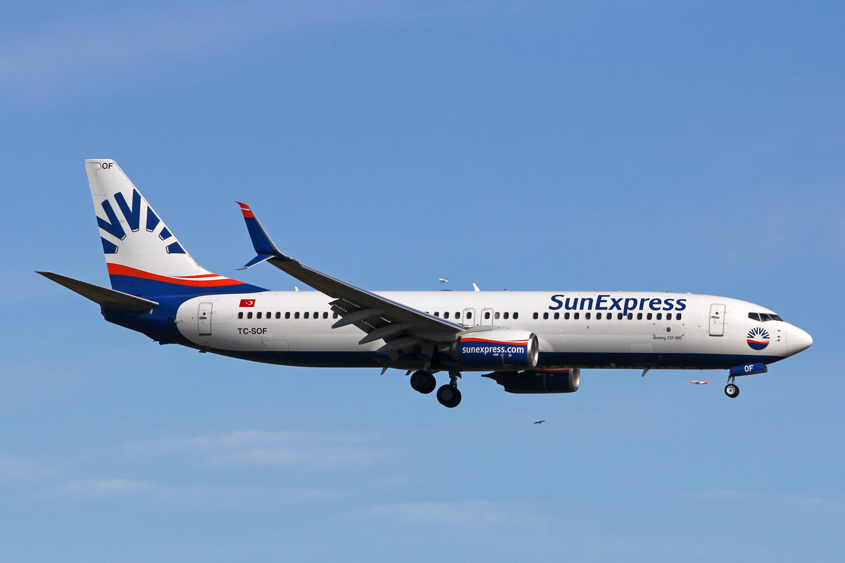 SunExpress, TC-SOF, Boeing 737-8HC, msn: 61191/6377, 22.Februar 2020, ZRH Zürich, Switzerland.
