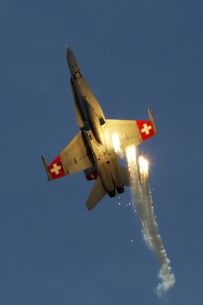 Swiss Air Force, J-5014, McDonnell Douglas, FA-18C Hornet, 30.08.2014, LSMP, Payerne, Switzerland 



