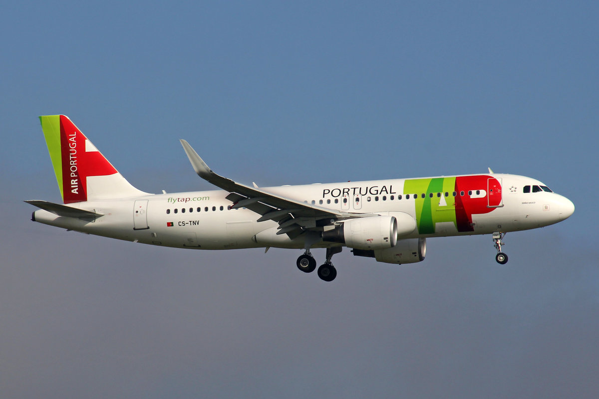 TAP Air Portugal, CS-TNV, Airbus A320-214, msn: 4145,  Grão Vasco , 26,Oktober 2019, ZRH Zürich, Switzerland.