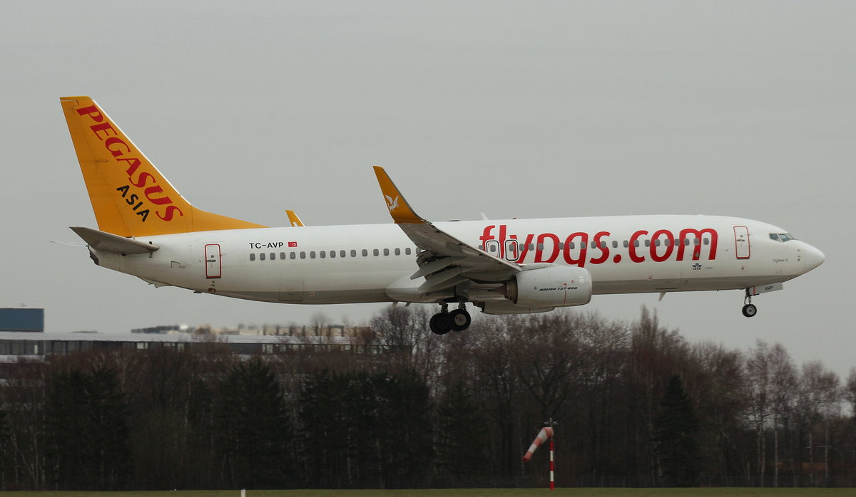TC-AVP,(c/n 38175),Boeing 737-83R(WL),03.04.2016,HAM-EDDH,Hamburg,Germany(Name:Yagmur A.)