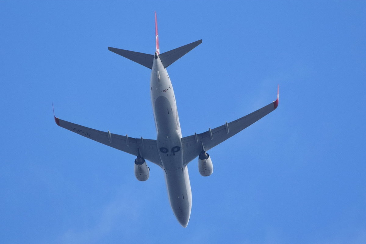 TC-JFV Turkish Airlines Boeing 737-8F2(WL) , über Potsdam , am 13.08.2020