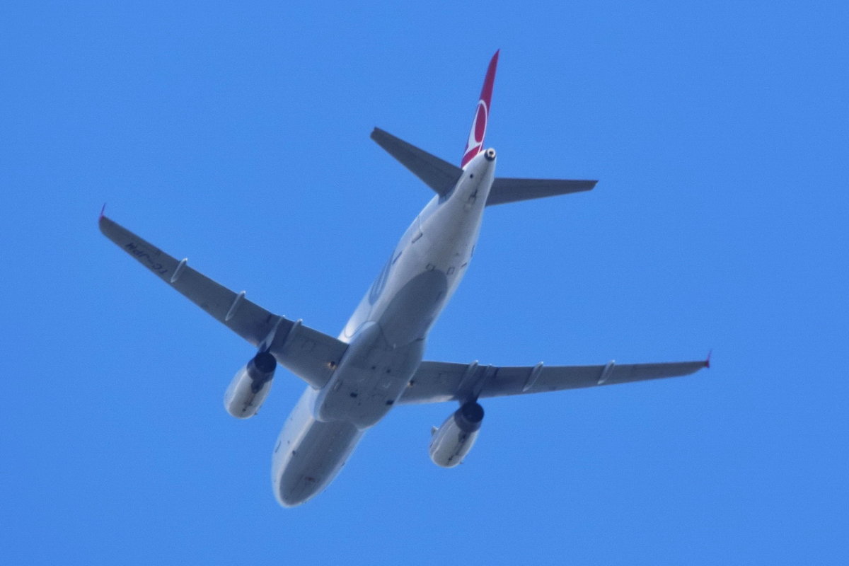 TC-JPM Turkish Airlines Airbus A320-232 , 03.08.2019 , Anflug Tegel