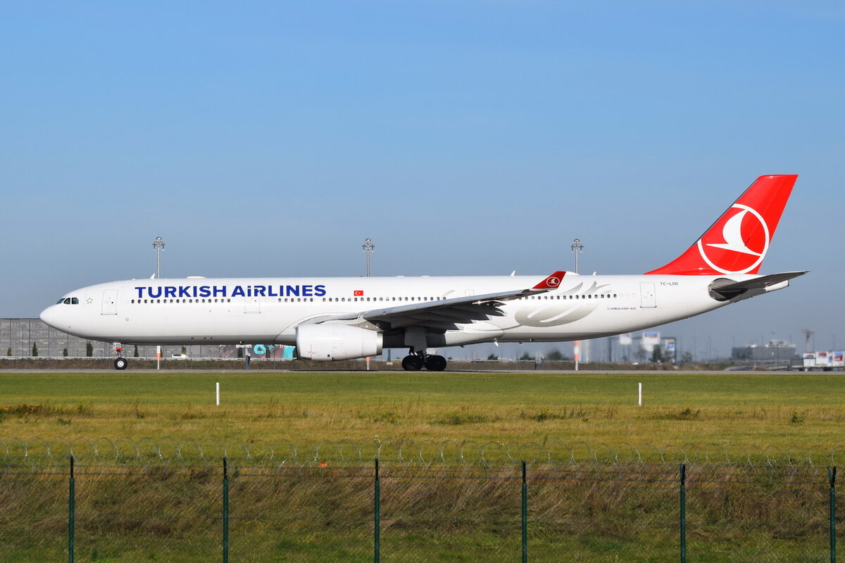 TC-LOD , Turkish Airlines , Airbus A330-343 , Berlin-Brandenburg  Willy Brandt  , BER ,24.10. 2021 , 
