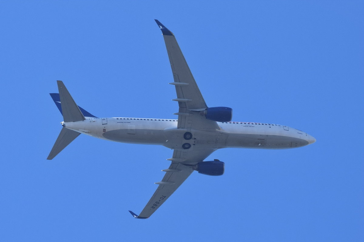 TC-SBR Anadolu Jet Boeing 737-86N(WL) , über Potsdam , am 12.08.2020