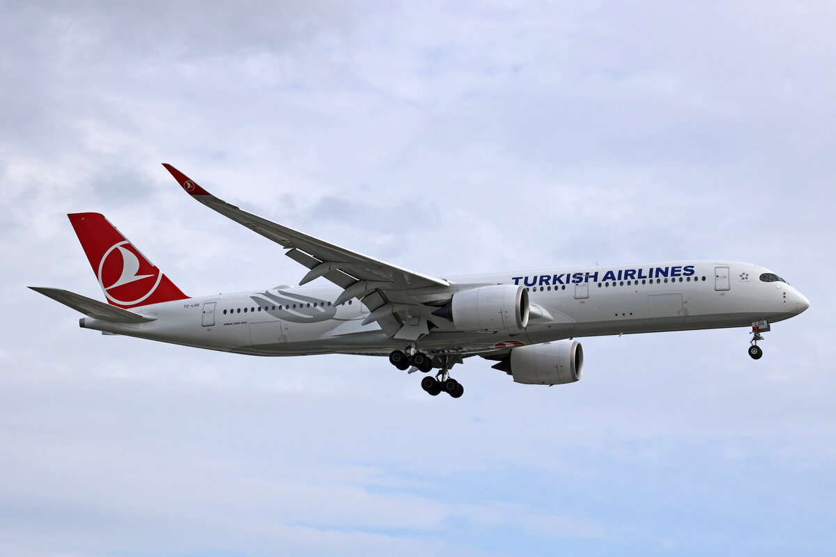 THY Turkish Airlines, TC-LGG, Airbus A350-941, msn: 565, 03.Juli 2023, LHR London Heathrow, United Kingdom.