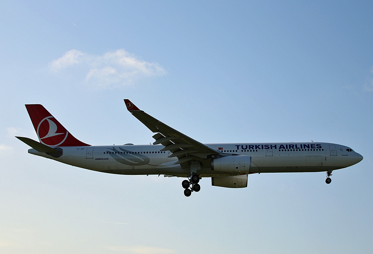 Turkish Airlines, Airbus A 330-343X, TC-JNO, TXL, 19.09.2019