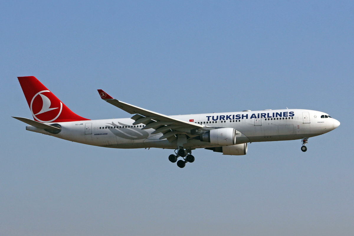 Turkish Airlines, TC-JIM, Airbus A330-202, msn: 901,  Erenköy , 21.Februar 2019, ZRH Zürich, Switzerland.