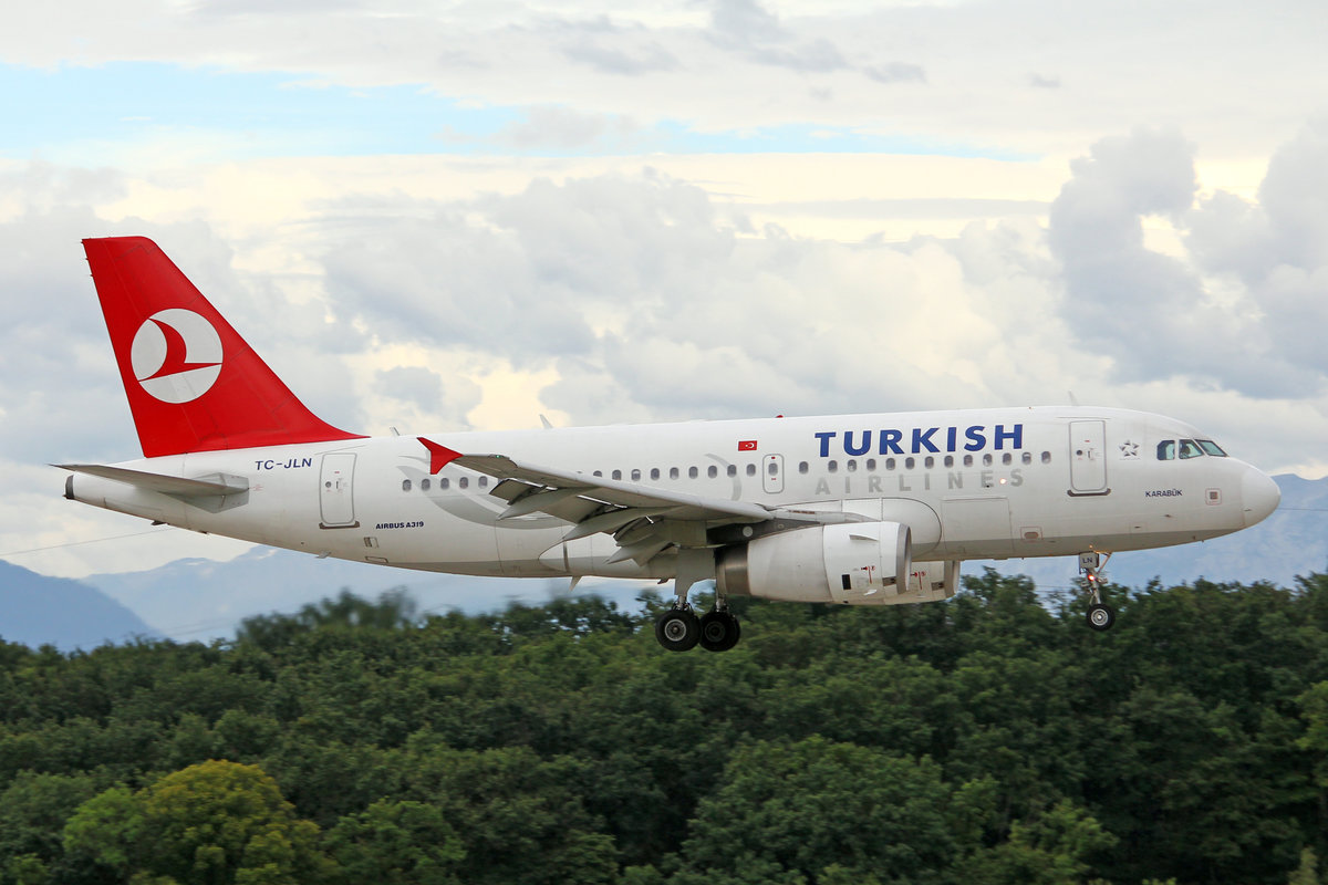 Turkish Airlines, TC-JLN, Airbus A319-132, msn: 2739,  Karabuk , 08.August 2008, GVA Genève, Switzerland.