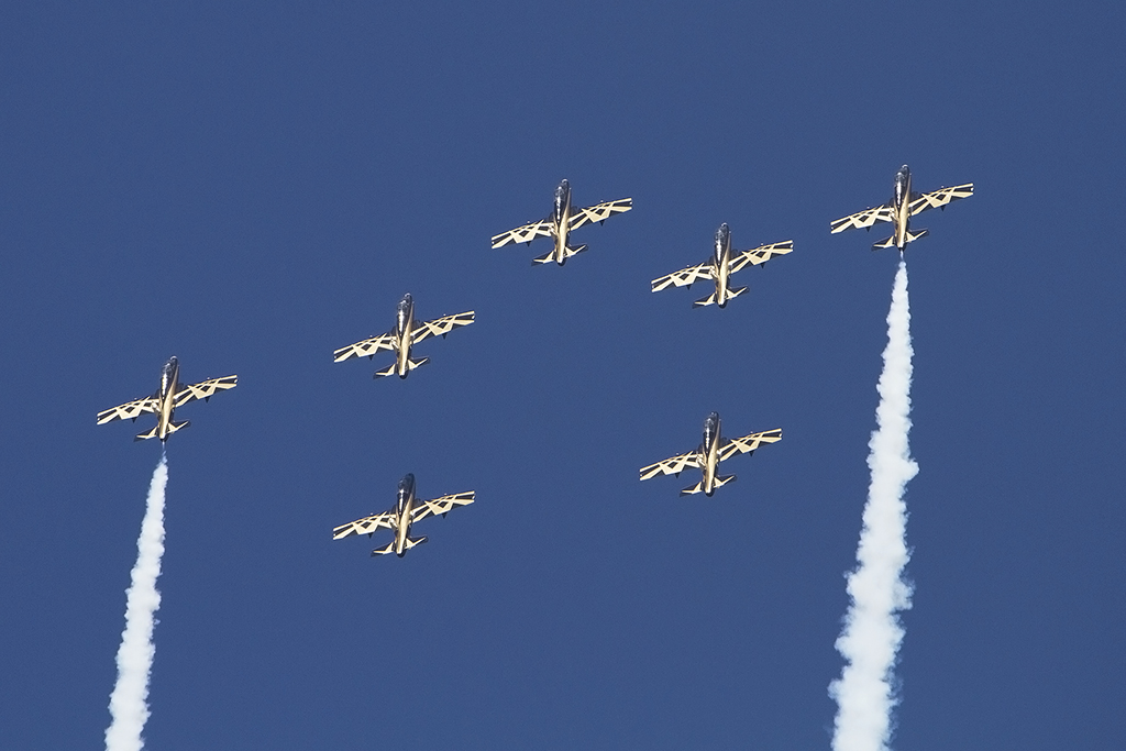 United Arab Emirates Air Force, Aermacchi, MB-339NAT, 05.09.2014, LSMP, Payerne, Switzerland