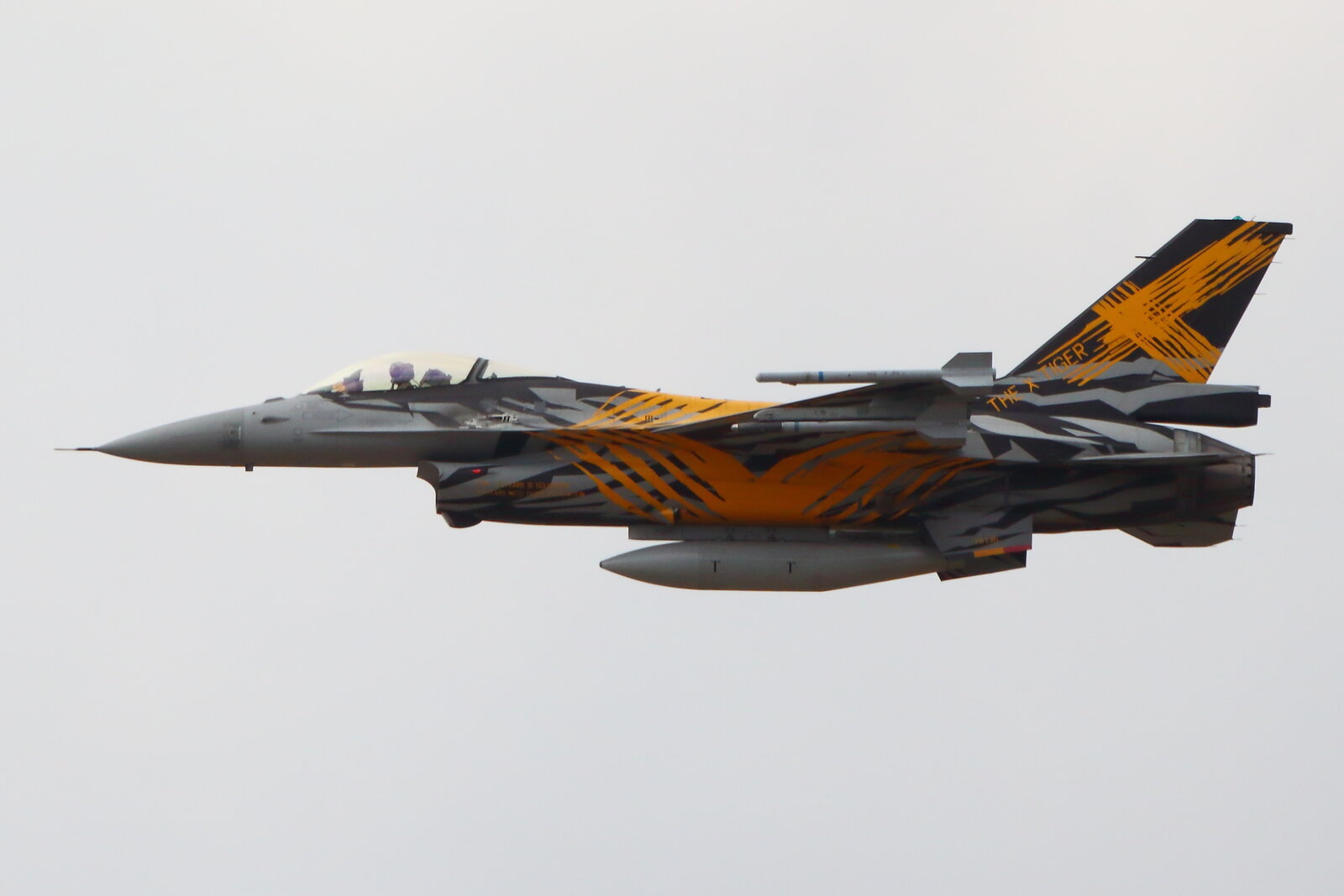 Belgian Air Force, Reg: FA-136, General Dynamics F-16AM Fighting Falcon. Kleine Brogel Airbase (BE), 10.09.2022