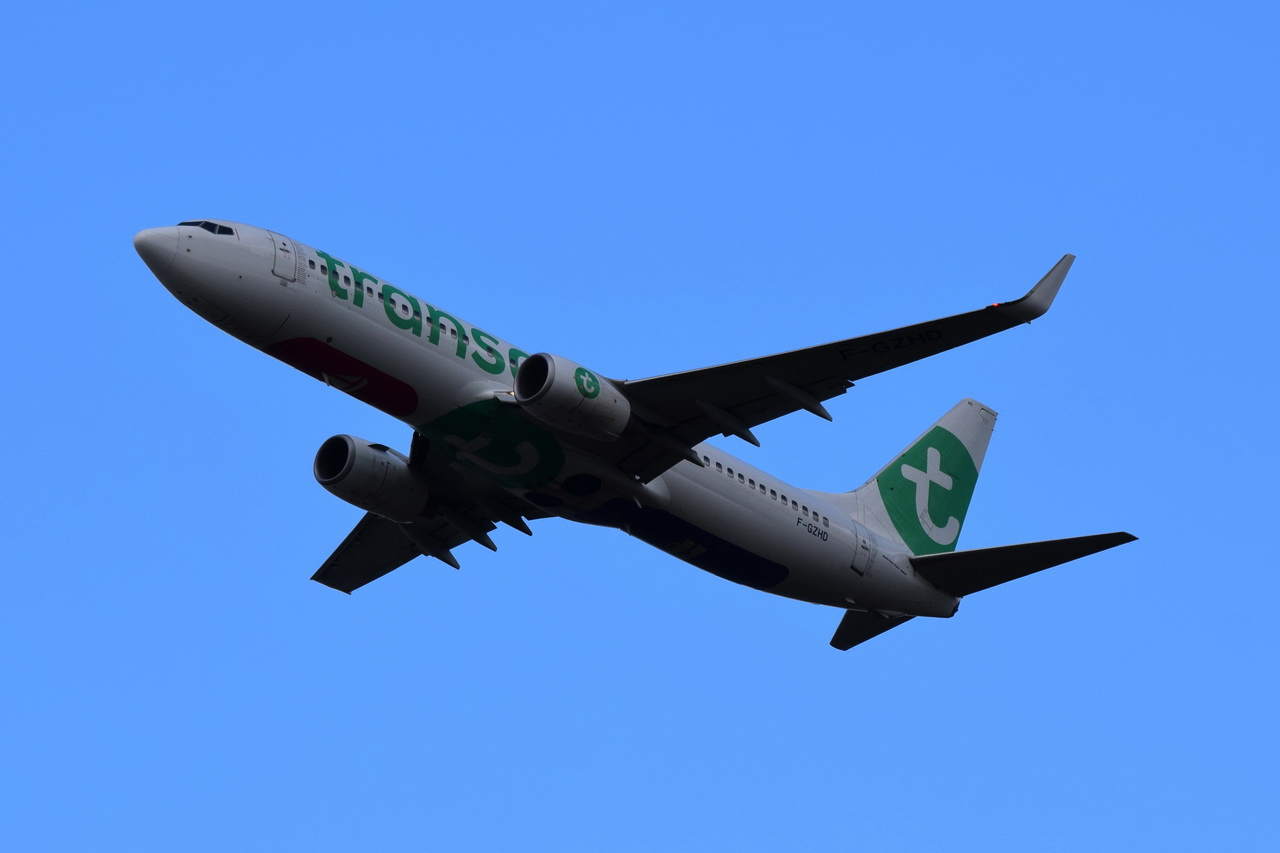 F-GZHD , Transavia France , Boeing 737-8K2(WL) , 18.09.2022 , Berlin-Brandenburg  Willy Brandt  , BER , 