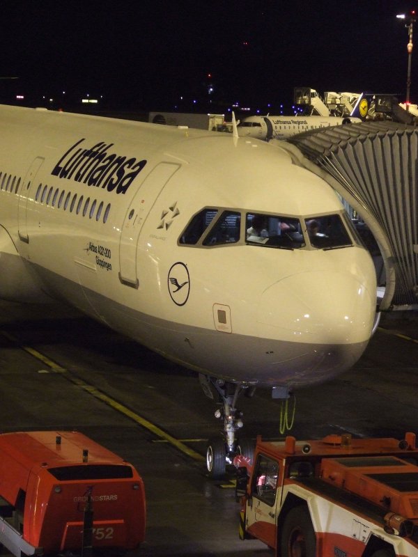 Airbus A 321-200  Gppingen  der Lufthansa an der Gate des Flughafens Hamburg-Fuhlsbttel am 20.11.2008.