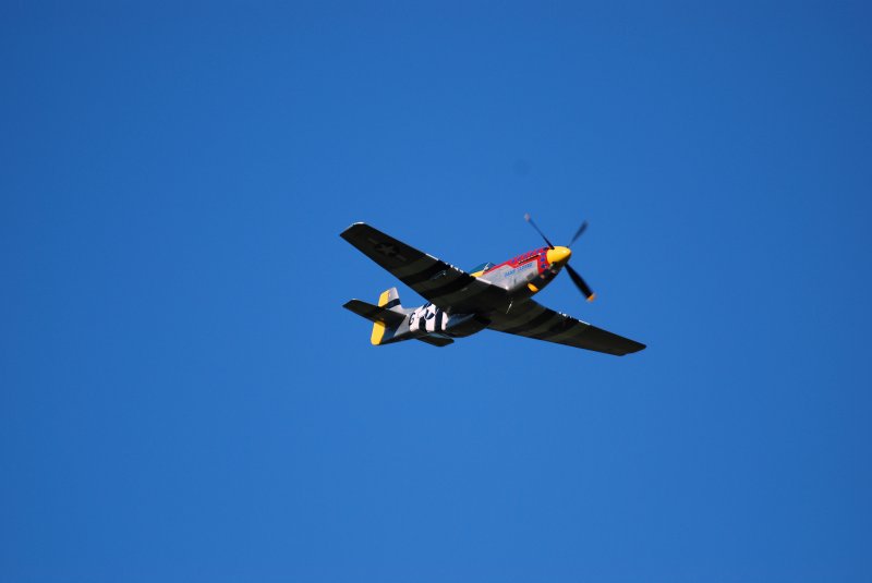 Der treue Begleiter der B-17 Flying Fortress Bomber im Zweiten Weltkrieg die North American P-51 Mustang beim Flugtag 2008 auf dem Flugplatz Weser-Wmme am 30.08.08