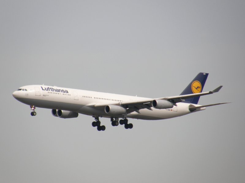 Ein Lufthansa Airbus A 340 bei der Landung in Frankfurt am Main am 07.08.2008.