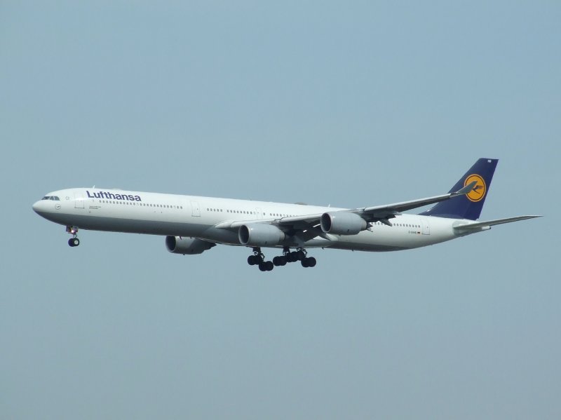 Ein Lufthansa Airbus A 340 bei der Landung in Frankfurt am Main am 07.08.2008.