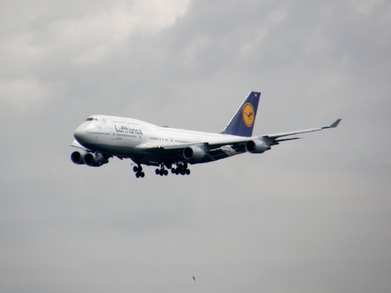 Eine Lufthansa Boeing 747 beim Landeanflug auf Frankfurt am Main am 16.07.2008.