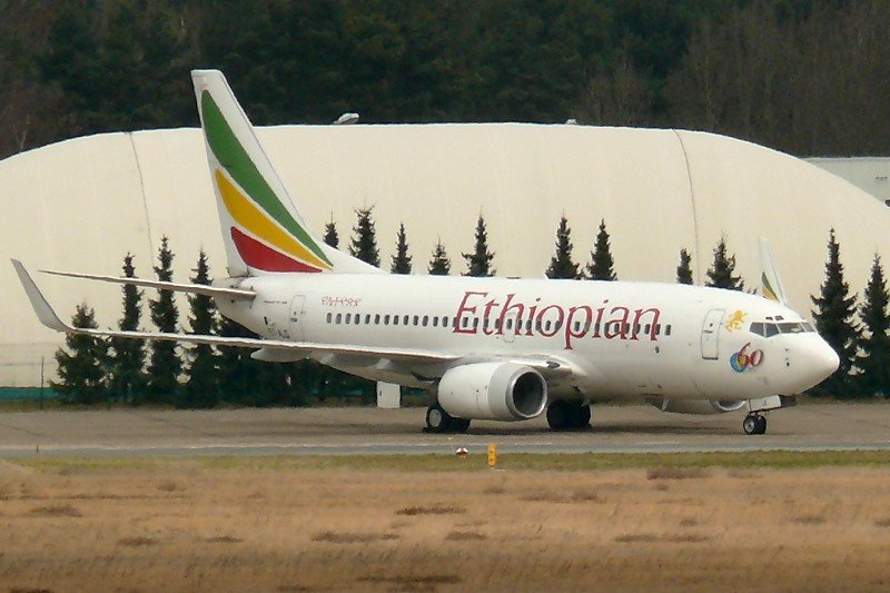 Ethiopian 737 ET-ALQ - Staatsbesuch - in Berlin TXL Nord abgestellt - 19.03.2008