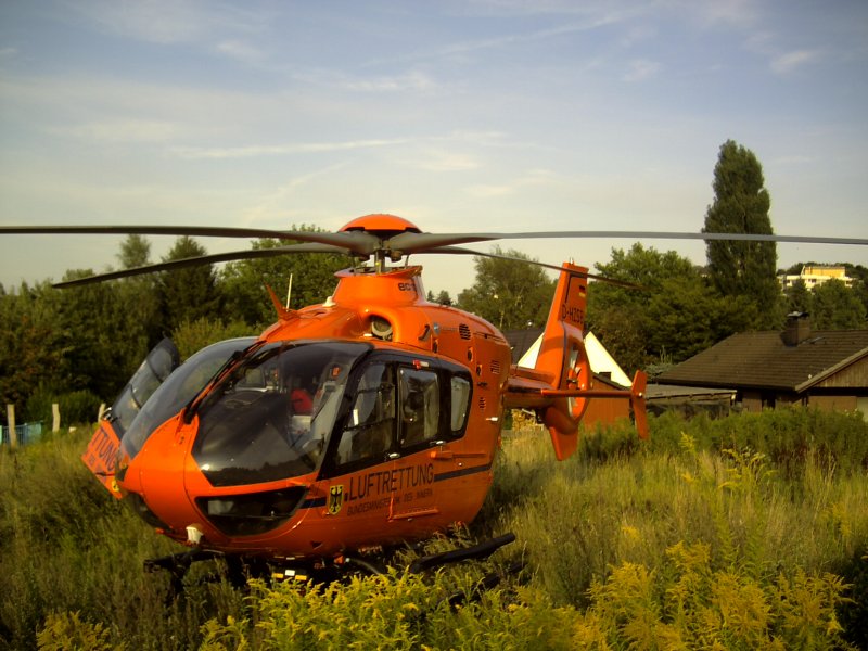 gesehen in HH am 17.8.2008