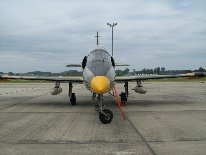 L-39 Albatros zum Flugplatzfest 2008 in Bautzen-Litten, dem ehemaligen Platz der Offiziershochschule der Luftstreitkrfte der NVA. Solche Maschinen gehrten bis zur Wende hier zum tglichen Bild.