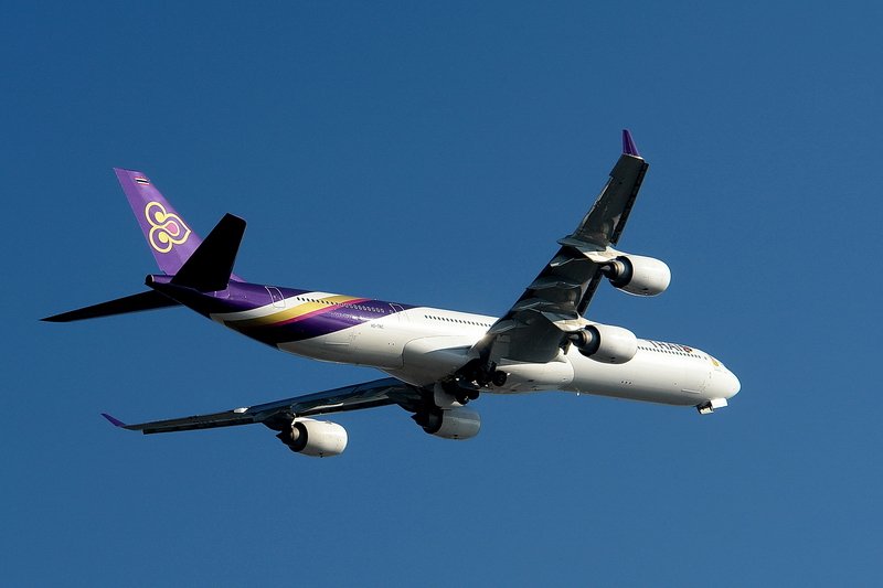 Thai Airways International, HS-TNC, Airbus A340-642. Noch ein Nachschuss des lngsten A340 und man kann an diesem kalten, aber schnen Sonnentag zufrieden nach Hause fahren. 29.1.2008 