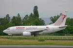 Tunisair, TS-IOK, Boeing B737-6H3, msn: 29496/268,  Kairouan , 14.Juni 2008, BSL Basel - Mühlhausen, Switzerland.