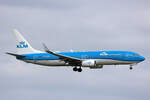 KLM Royal Dutch Airlines, PH-BGA, Boeing B737-8K2, msn: 37593/2569,  Tureluur/Redshan , 18.Mai 2023, AMS Amsterdam, Netherlands.