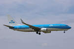 KLM Royal Dutch Airlines, PH-BXC, Boeing B737-8K2, msn: 29133/305,  Grouse / Korhoen , 19.Mai 2023, AMS Amsterdam, Netherlands.