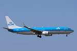 KLM Royal Dutch Airlines, PH-BXY, Boeing B737-8K2, msn: 30372/2503,  Grebe / Fuut , 19.Mai 2023, AMS Amsterdam, Netherlands.