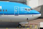 KLM Royal Dutch Airlines, PH-BGL  Rietzanger - Warbler , Boeing, 737-700 wl (Bug/Nose), 25.05.2012, AMS-EHAM, Amsterdam (Schiphol), Niederlande 