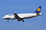D-AIPE Lufthansa Airbus A320-211 , MUC , 30.03.2019