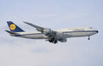 Lufthansa | D-ABYT | Boeing 747-830 | Retro Livery | Frankfurt FRA | 21/01/2023