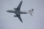 Lufthansa Airbus A 319-114 D-AILX Fellbach Flughafen Mnchen 02.02.2010