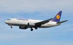 Eine BOEING 737-300,Kennung D-ABXY von LUFTHANSA am 25.8.2010 im Landeanflug auf Piste 25L in Frankfurt/Main.