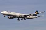 Lufthansa, D-AIHD, Airbus, A340-642, 09.02.2011, FRA, Frankfurt, Germany             