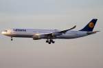 Lufthansa, D-AIGH, Airbus, A340-311, 09.02.2011, FRA, Frankfurt, Germany           