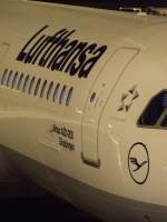 Der Airbus A 321-200  Gppingen  der Lufthansa in Hamburg am 20.11.2008.