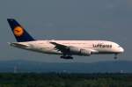 D-AIML Lufthansa Airbus A380-841    Anflug auf Frankfurt  15.07.2014