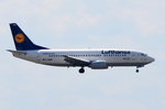D-ABEN Lufthansa Boeing 737-330  Neubrandenburg   am 01.08.2016 in Frankfurt beim Landeanflug