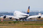 D-ABYF Lufthansa Boeing 747-830  Sachsen-Anhalt  in Frankfurt bei der Landung am 06.08.2016