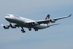 Lufthansa Airbus A340-313 D-AIGZ, cn(MSN): 347,
Frankfurt Rhein-Main International, 22.05.2016.