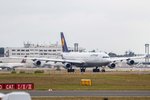 Lufthansa (LH-DLH), D-AIGL  Herne , Airbus, A 340-313X, 19.09.2016, FRA-EDDF, Frankfurt, Germany