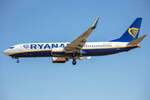Ryanair, EI-DLF, Boeing, B737-8AS, 24.06.2023, BRU, Brüssel, Belgien