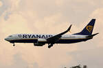 Ryanair, EI-EBO, Boeing B737-8AS, msn: 35004/2843, 03.Juli 2025, MXP Milano Malpensa, Italy.