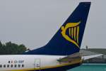 Ryanair (FR), EI-EBF, Boeing 737-800 wl (Seitenleitwerk/Tail), 04.09.2014, FMM-EDJA, Memmingen, Germany